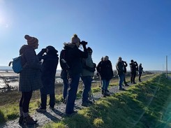 People taking photographs of the landscape