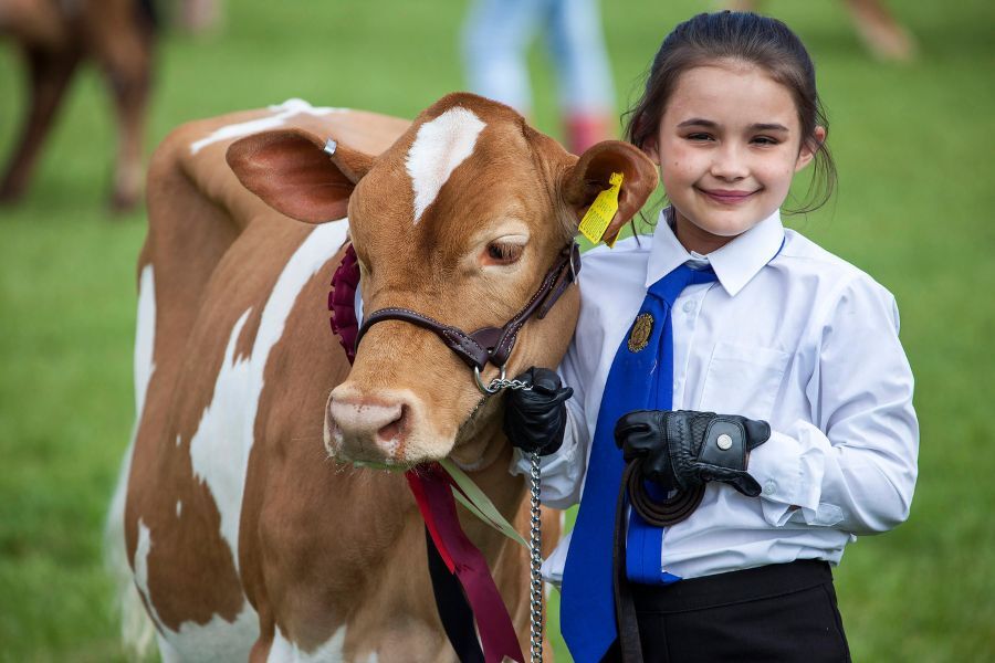 A young girl dressed smartly and smiling stood alongside a calf