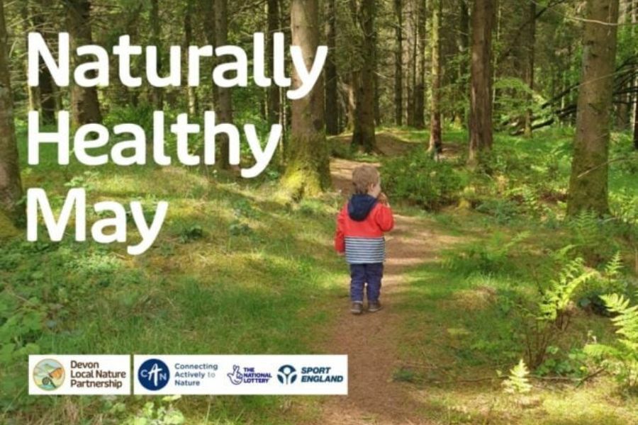 Advert for Naturally Healthy May, showing a young child walking along a path in a wood