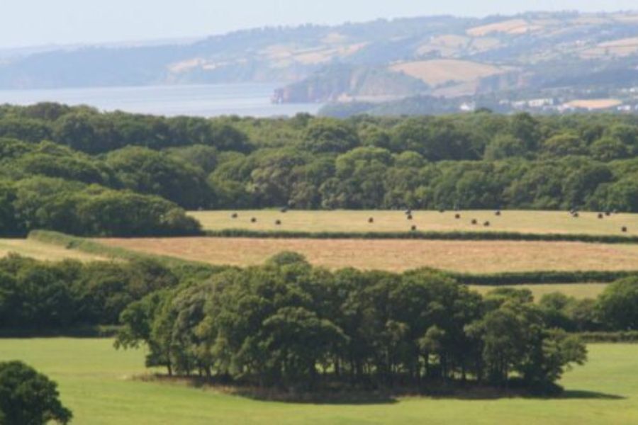 A sweeping photo of the Devon countryside