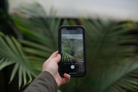 Phone surrounded by plants