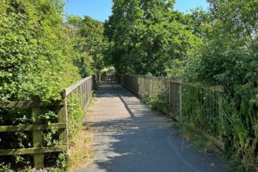 A view of the boardwalk along the Exe Estuary Trail