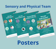 Sensory and physical team posters