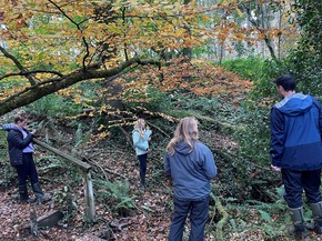 people standing in a woodland