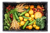 Colourful fruit and veg in a box