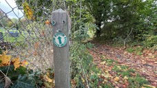 Exeter Green Circle sign pointing down path