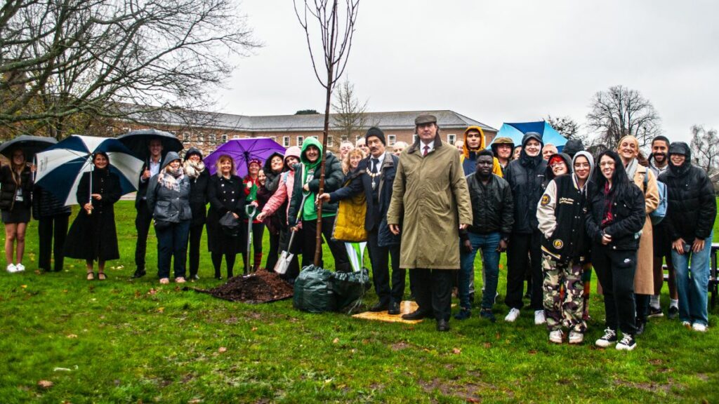 Young people, councillors and council staff plant a Rowan tree