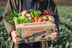 A Riverford Organics veg box held by a man, whose hands you can see, standing in a field