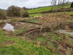 Image of a leaky dam in a field stokeinteignhead