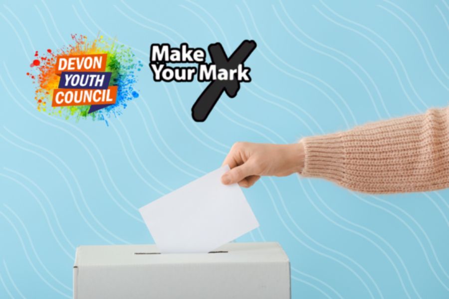 Make Your Mark ballot box