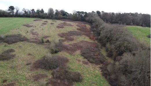 hill with scrub and bracken patches