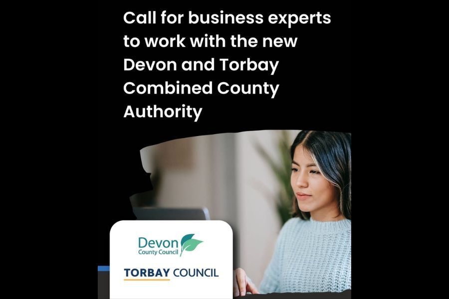Words read: Call for business experts to work with the Devon and Torbay Combined County Authority
