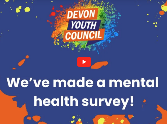 Devon Youth Council mental health survey