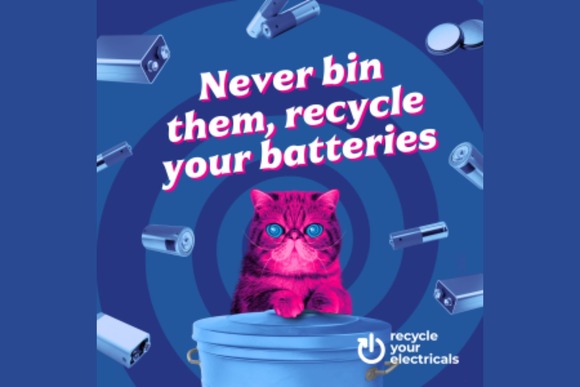 Text reads: Never bin them, recycle your batteries