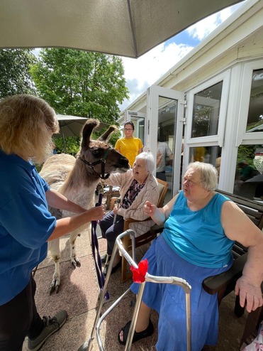 donkey visiting care home - people stroking