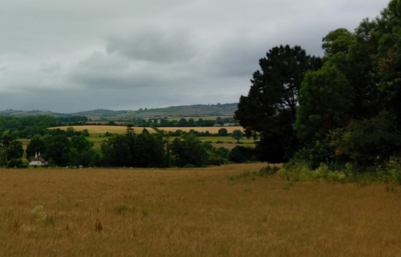 Fields and trees on a cloudy day