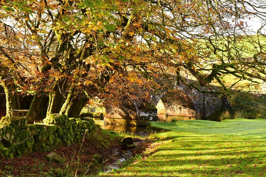 Dartmoor in the Autumn