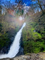 Waterfall in a lush forest with sunlight flare.
