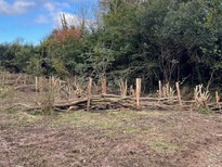 series of large leaky dams in a muddy field with trees and vegetation behind