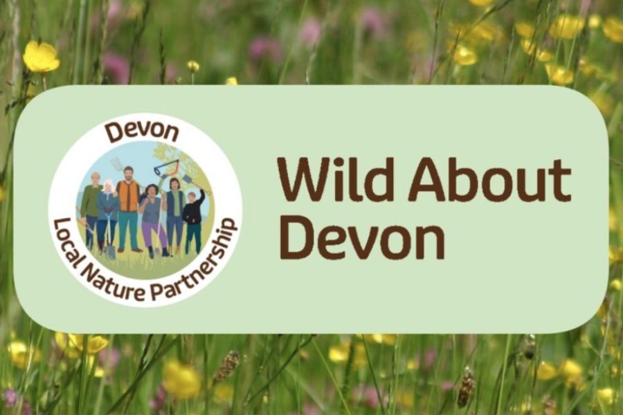 Wild About Devon