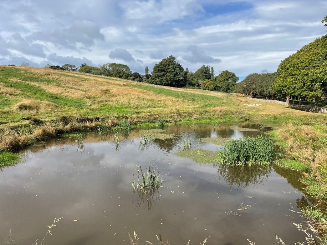 Large pond surrounded by park grassland and trees at the edge of the field