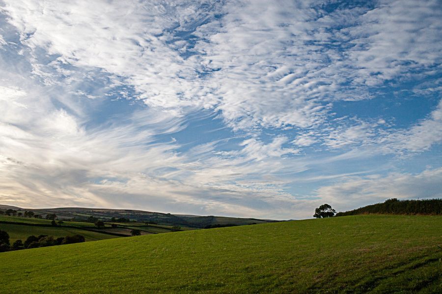 Devon countryside