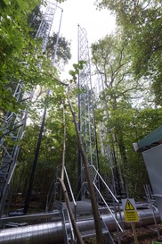 A Priestly Photography - School Climate Change