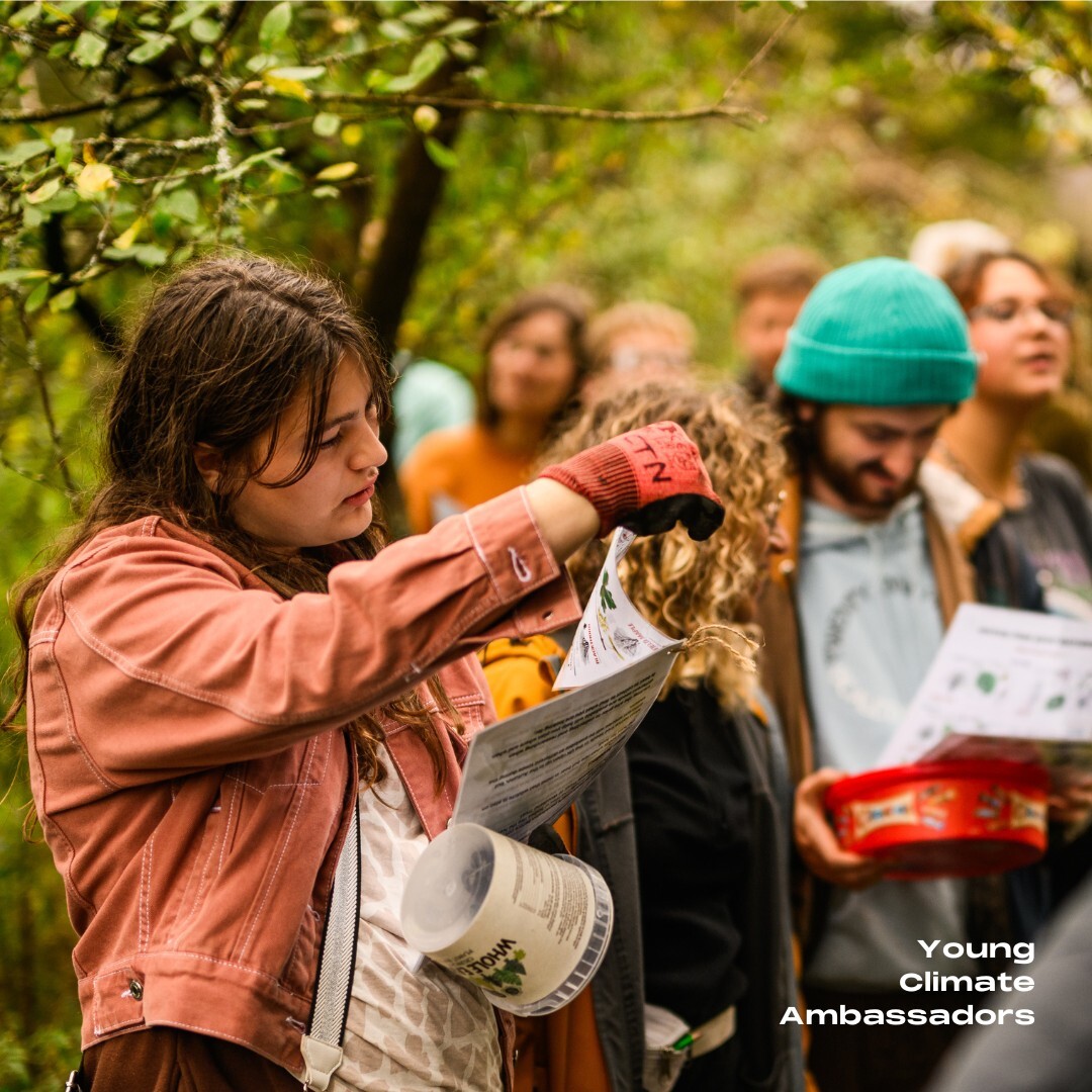 a woman in a denim jacket looks at a tree identification guide with others on a walk