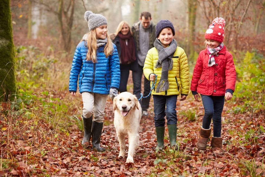 A family walking through some woods
