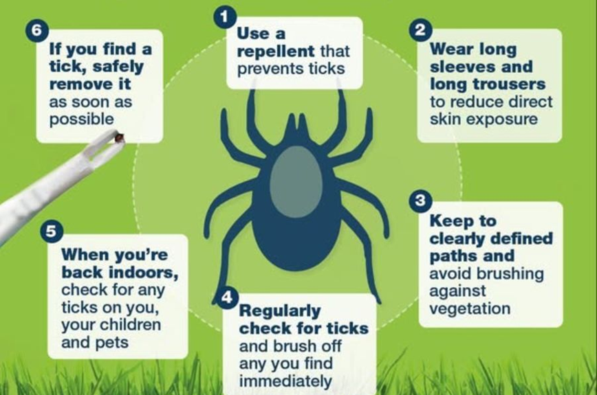 Tick awareness