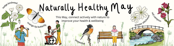 Naturally healthy May banner - Amber Veacock