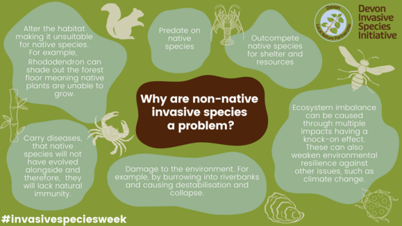 Why are non native species a problem