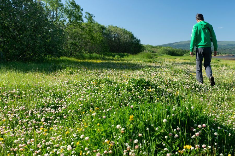 Walking in nature