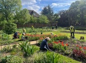 community garden with 3 people tending the plants
