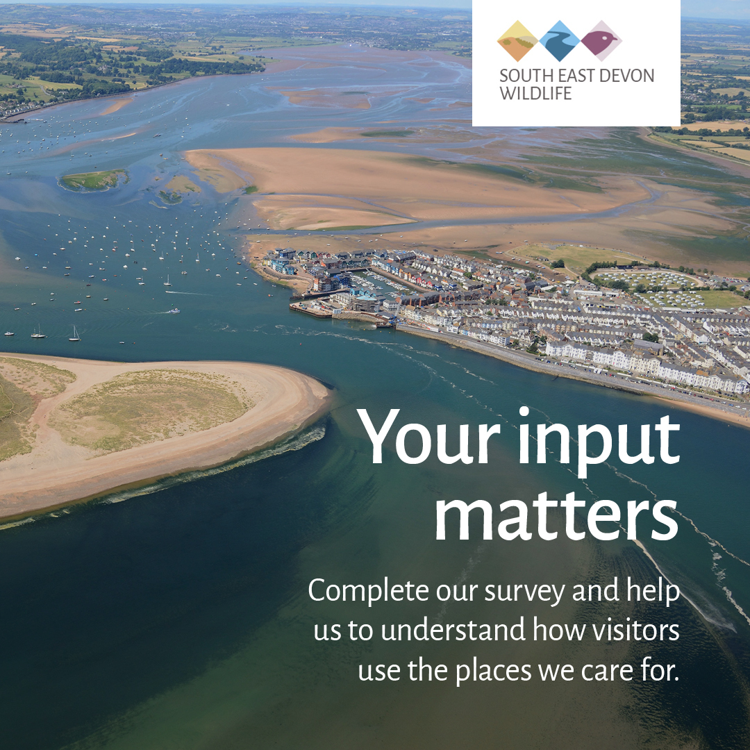 East Devon Visitor Survey