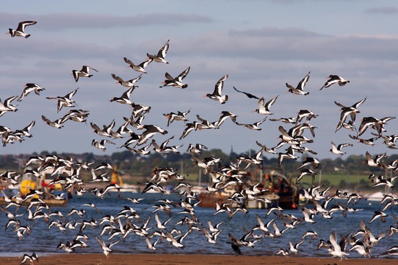 Wildlife Refuge
