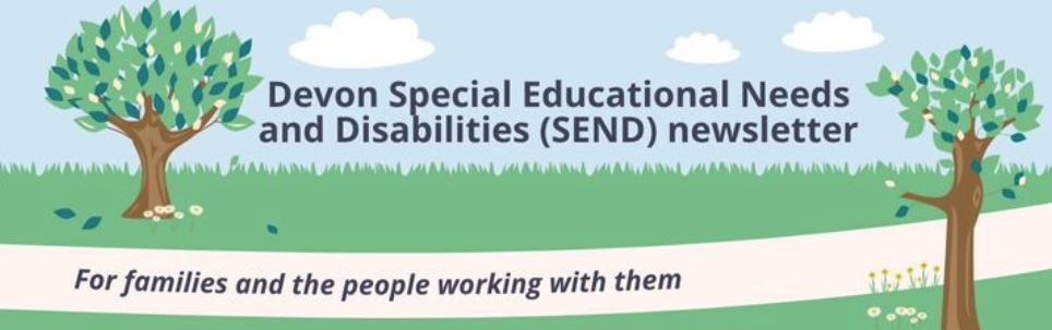 SEND newsletter banner