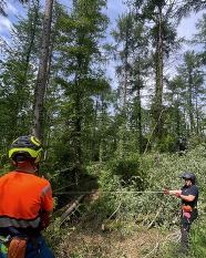 Two people in helmets using a winch to bring down a tree