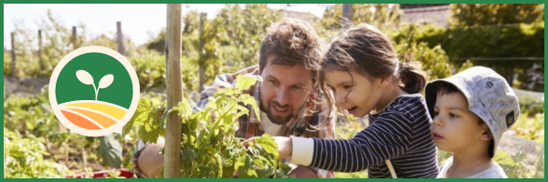 a father and his 2 children examine tomato plants