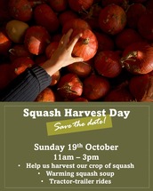poster for squash harvest day at Shillingford Organic