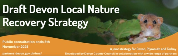 Devon Draft Local Nature Recovery Strategy