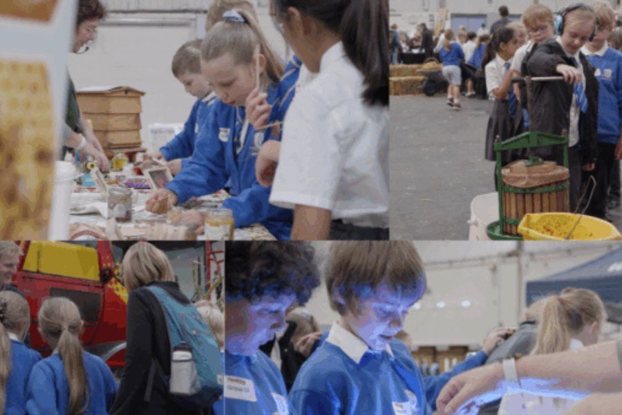 photo montage of four photographs of school pupils involved with various activities at this year's Farmwise