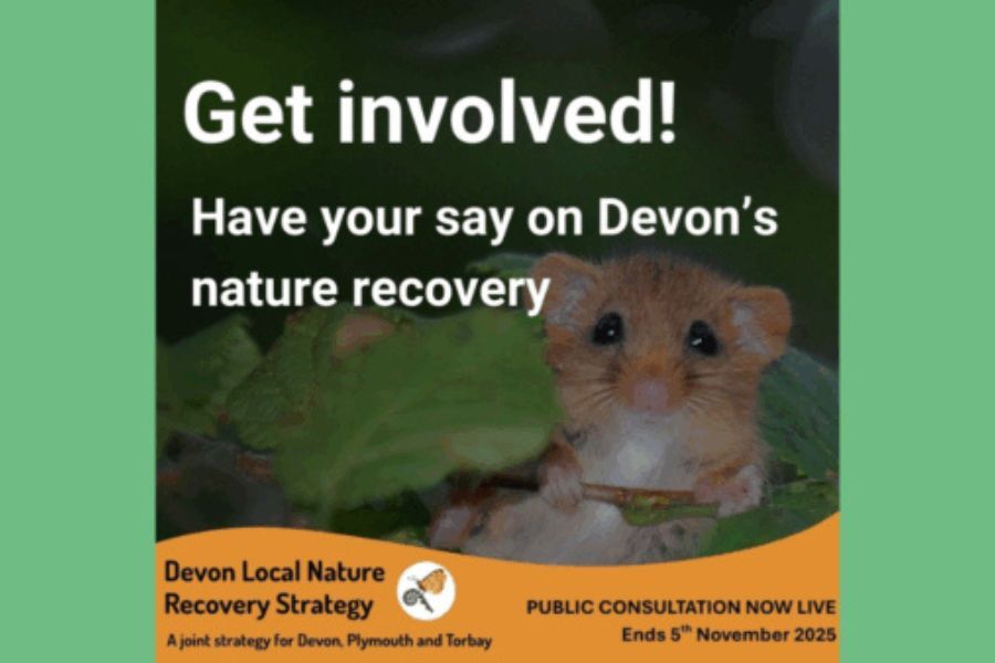 Image shows a mouse in natural habitat, and words "Get involved. Have your say about Devon's nature recovery"