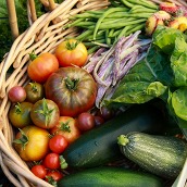 basket of veggies