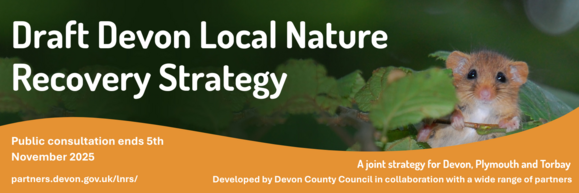 draft Devon Local Nature Recovery Strategy logo with a mouse hiding behind some leaves