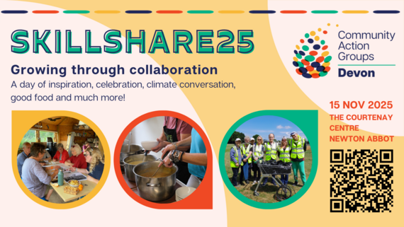 Skillshare 25