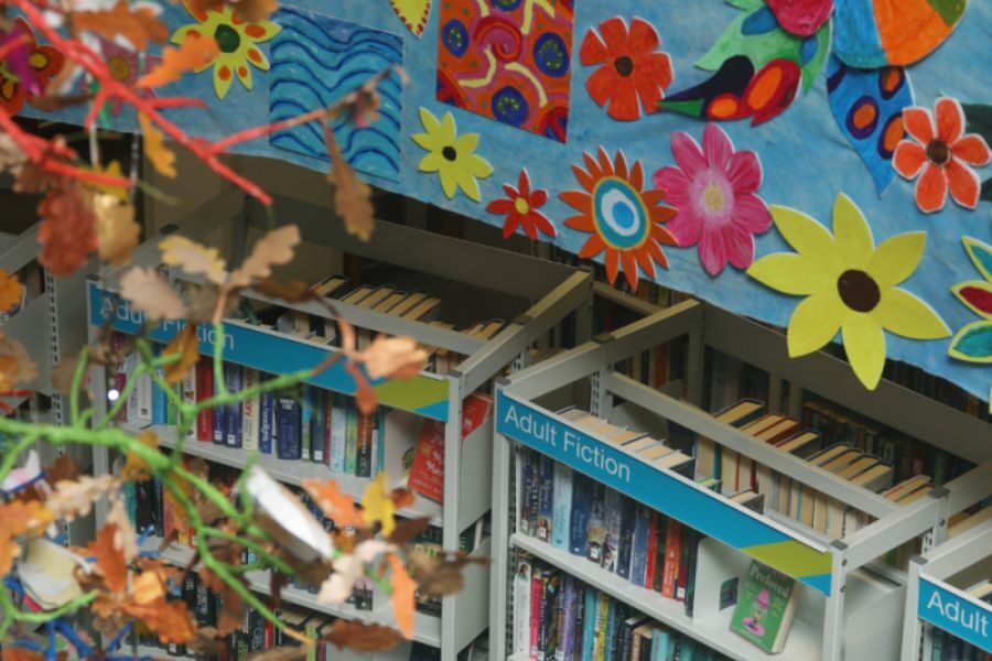shelves of books in a library