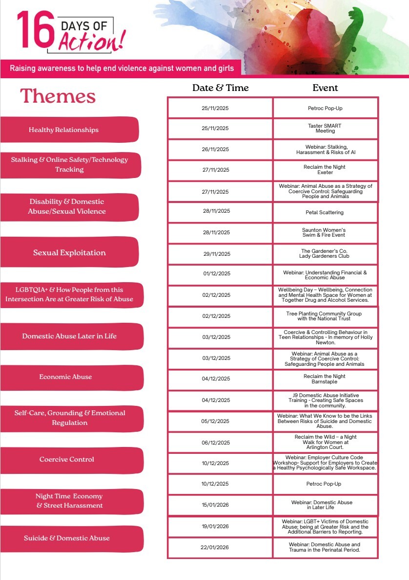 16 days of Action in Devon poster - list of themes 