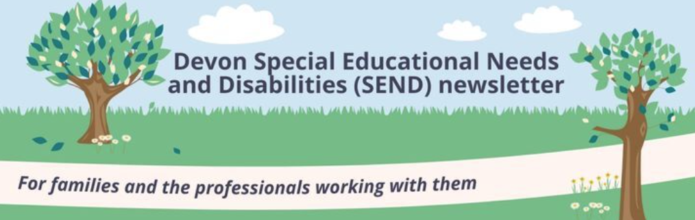 SEND Partnership banner