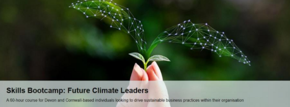 Skills bootcamp banner